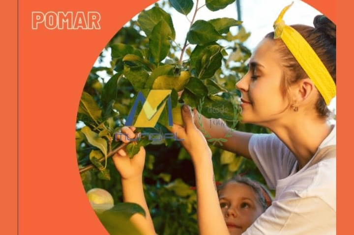 Apartamento, 38 m² - Foto 3