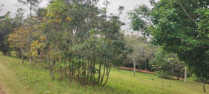 Apartamento, 3 quartos, 59 m² - Foto 35