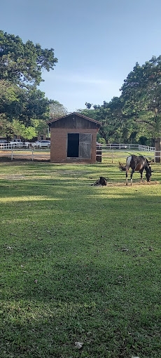 Terreno, 550 m² - Foto 28