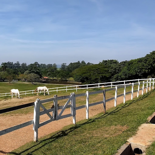 Terreno, 550 m² - Foto 30