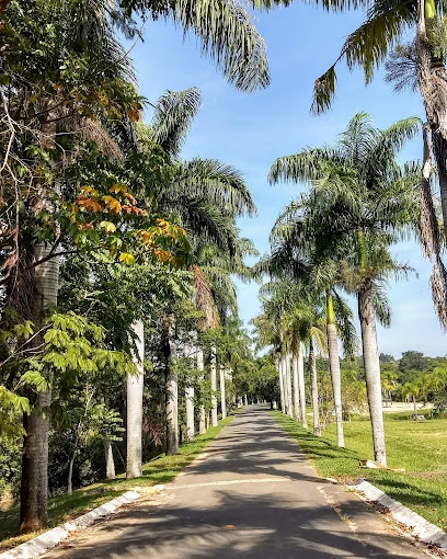 Terreno, 550 m² - Foto 31