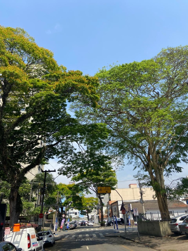 Loja-Salão, 161 m² - Foto 12