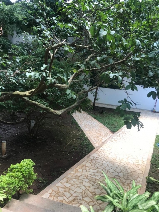 Loja-Salão, 600 m² - Foto 5