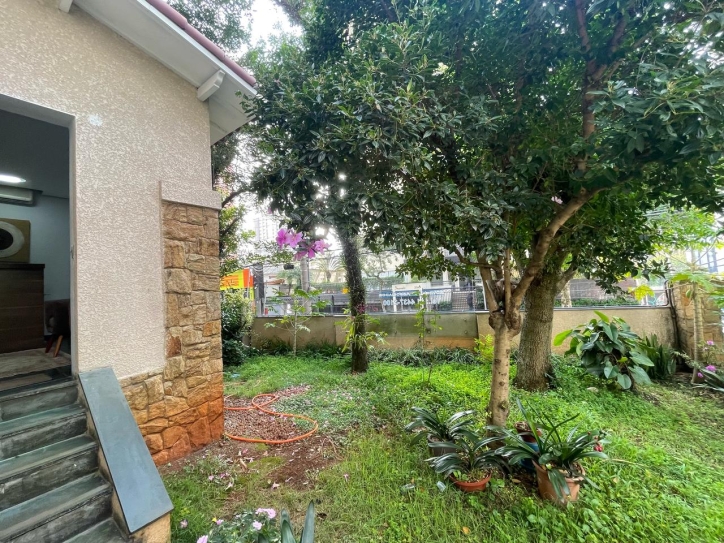 Loja-Salão, 278 m² - Foto 12