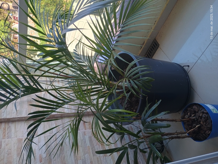 Casa, 3 quartos, 84 m² - Foto 11