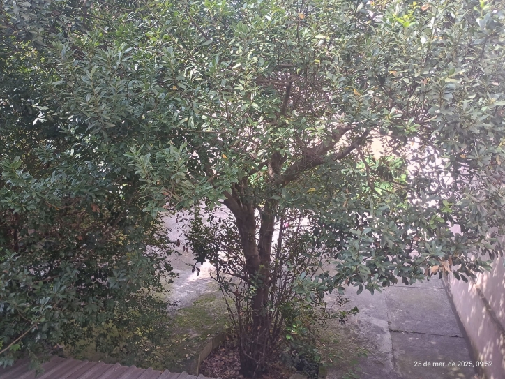 Loja-Salão, 420 m² - Foto 10