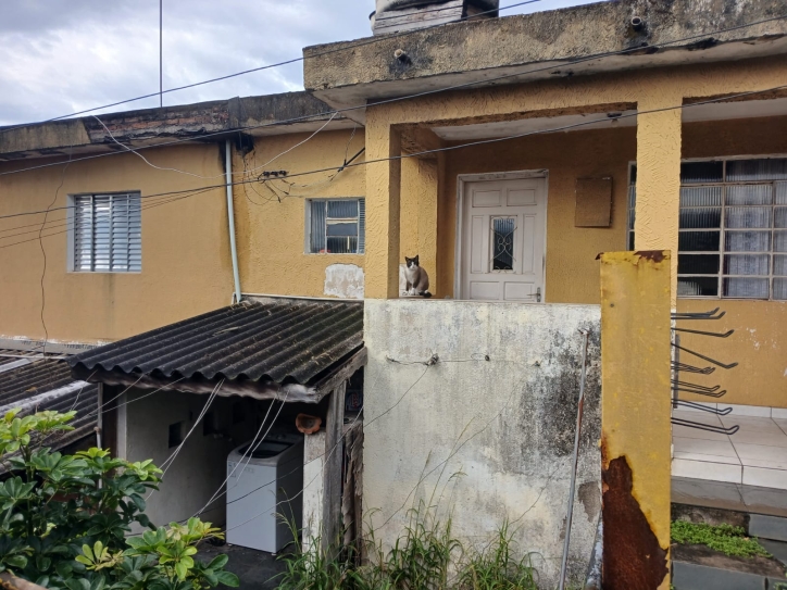 Terreno, 300 m² - Foto 4