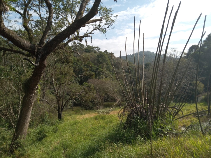 Terreno, 10 hectares - Foto 2