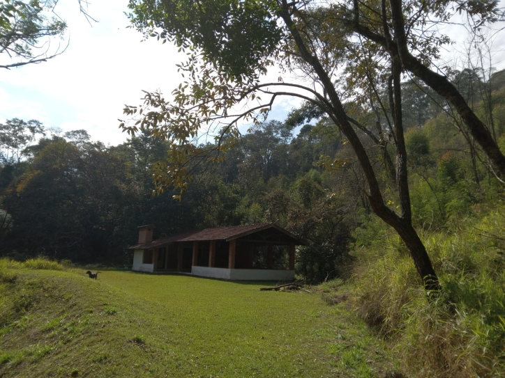 Terreno, 10 hectares - Foto 3