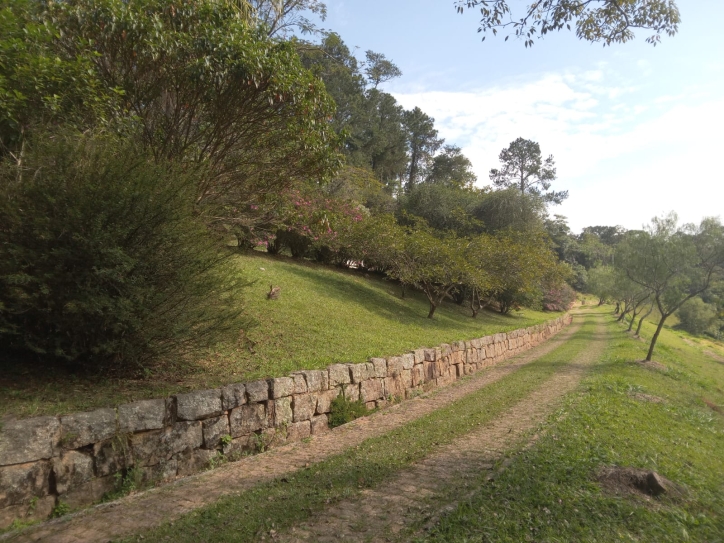 Terreno, 10 hectares - Foto 4