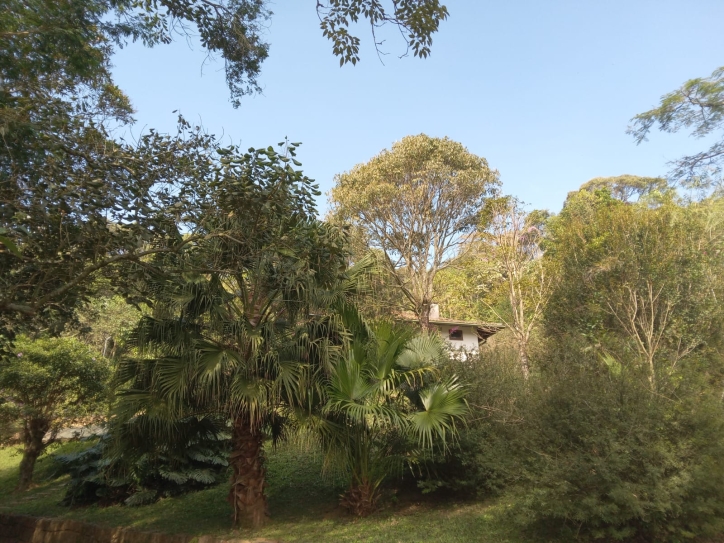 Terreno, 10 hectares - Foto 5