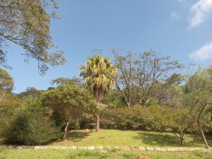 Terreno, 10 hectares - Foto 6