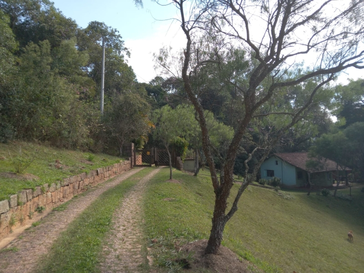 Terreno, 10 hectares - Foto 8