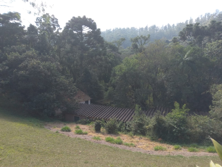 Terreno, 10 hectares - Foto 9