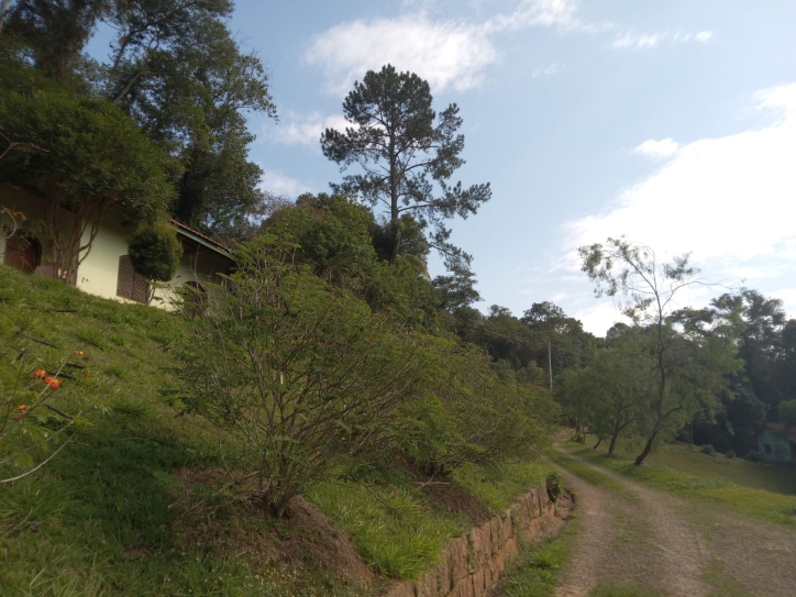 Terreno, 10 hectares - Foto 11