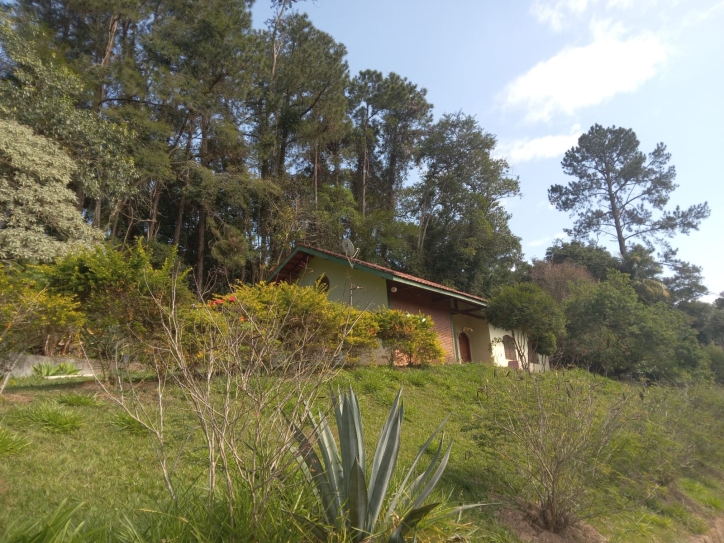 Terreno, 10 hectares - Foto 12