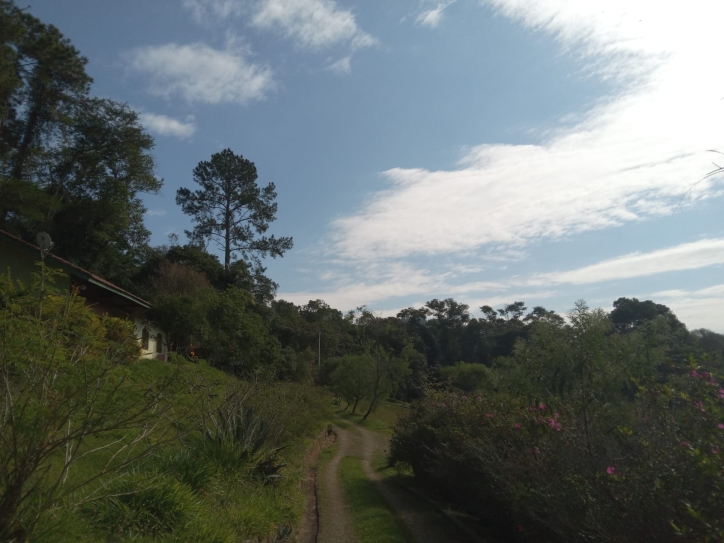 Terreno, 10 hectares - Foto 13