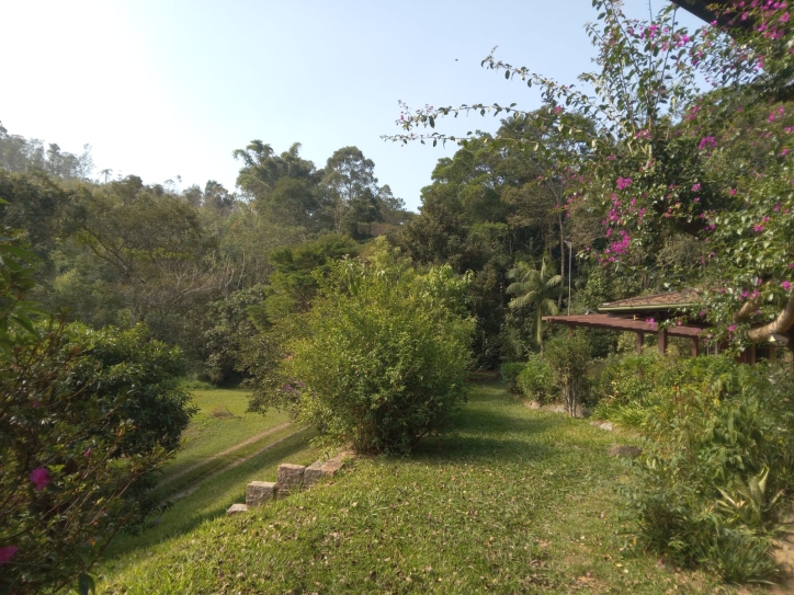 Terreno, 10 hectares - Foto 17