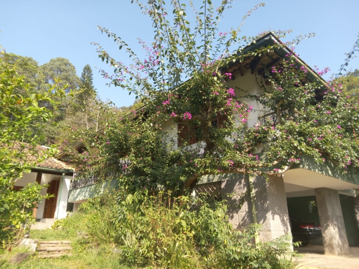 Terreno, 10 hectares - Foto 23