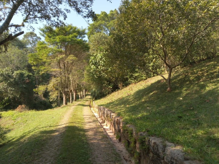 Terreno, 10 hectares - Foto 24