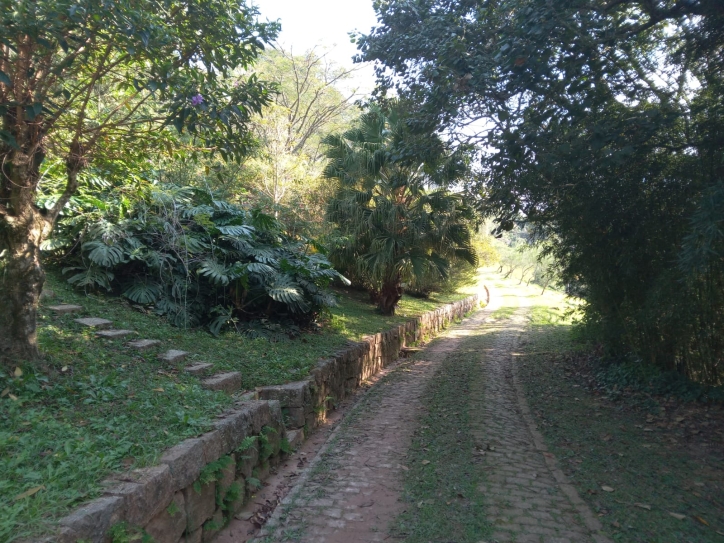 Terreno, 10 hectares - Foto 25