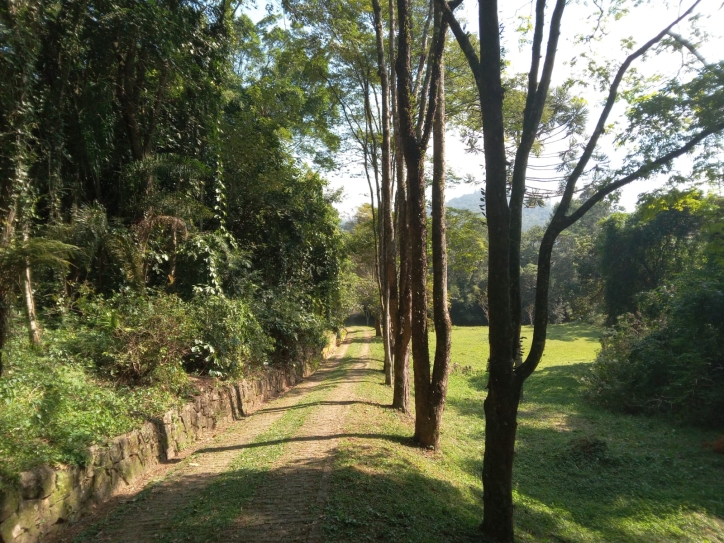 Terreno, 10 hectares - Foto 27