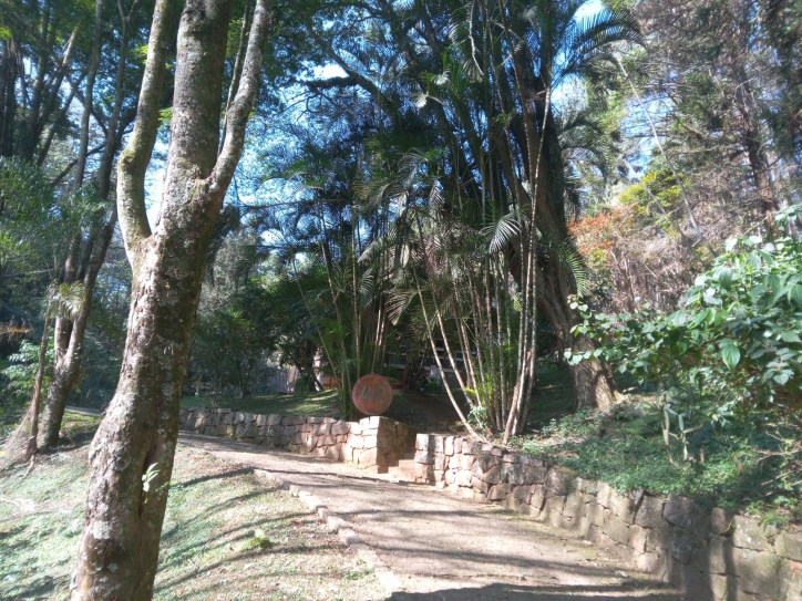 Terreno, 10 hectares - Foto 28