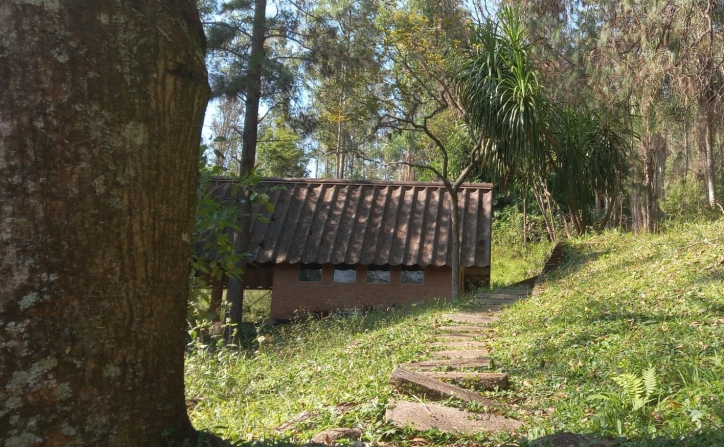 Terreno, 10 hectares - Foto 34