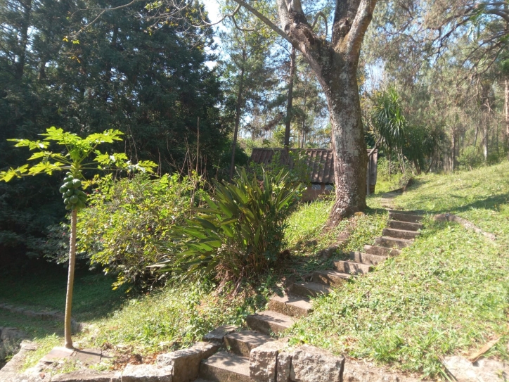 Terreno, 10 hectares - Foto 35