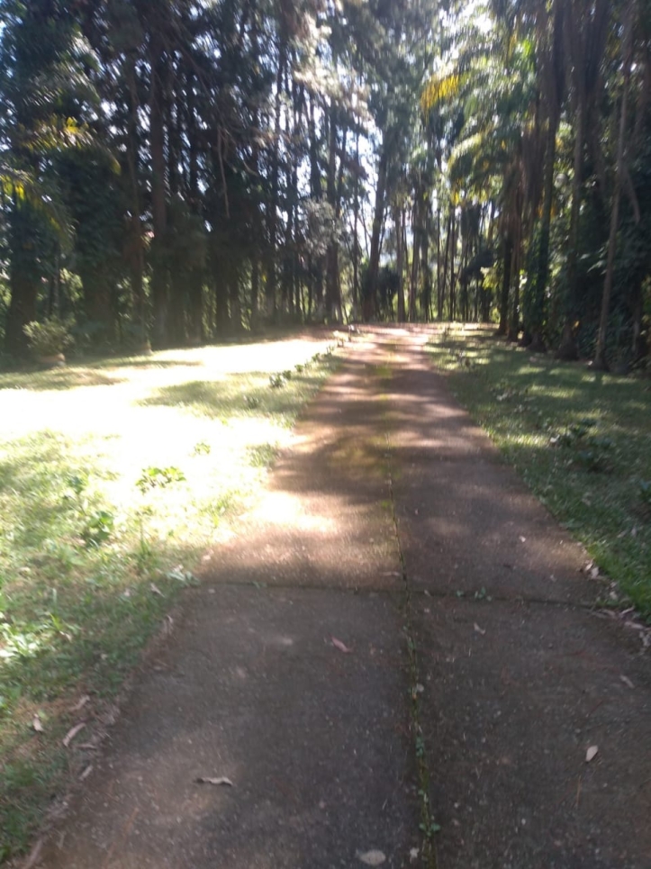 Terreno, 2 hectares - Foto 1