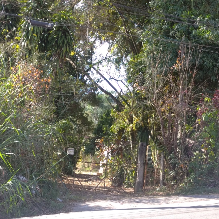 Terreno, 2 hectares - Foto 3