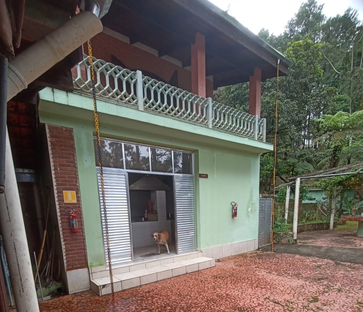 Terreno, 2 hectares - Foto 4