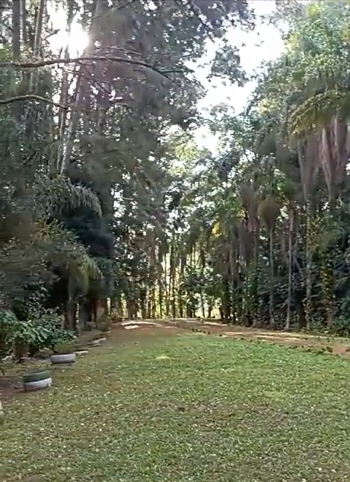 Terreno, 2 hectares - Foto 7