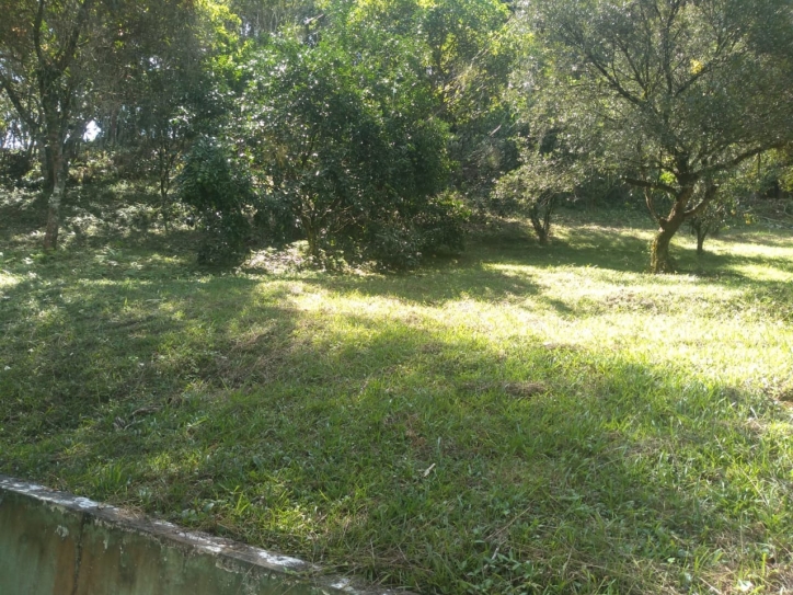 Terreno, 2 hectares - Foto 9