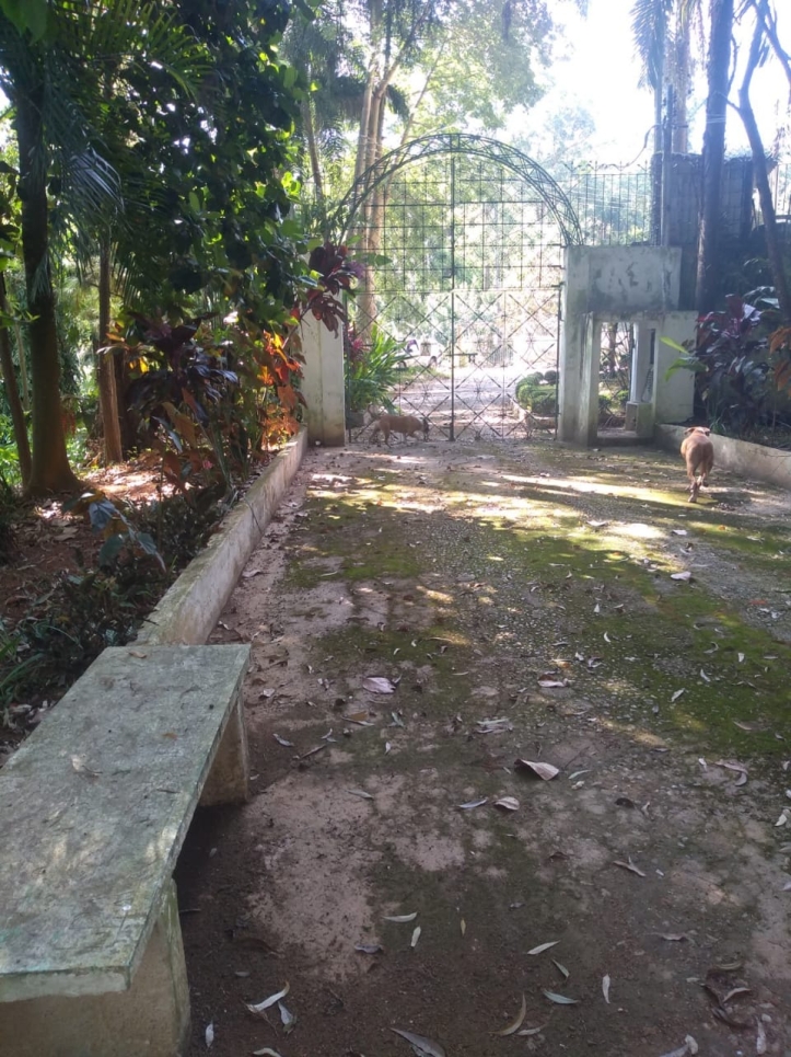 Terreno, 2 hectares - Foto 12