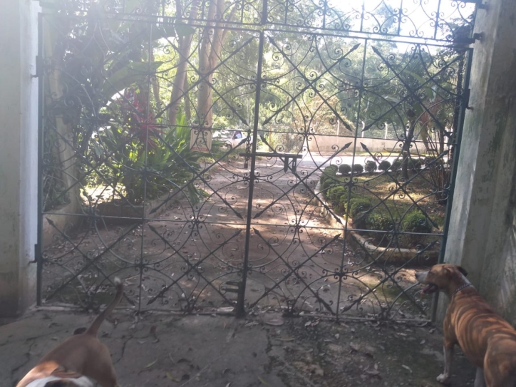 Terreno, 2 hectares - Foto 13