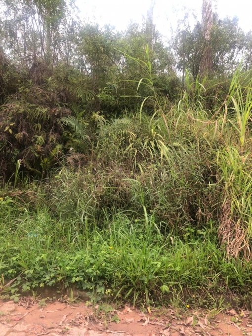 Loja-Salão, 200 m² - Foto 4