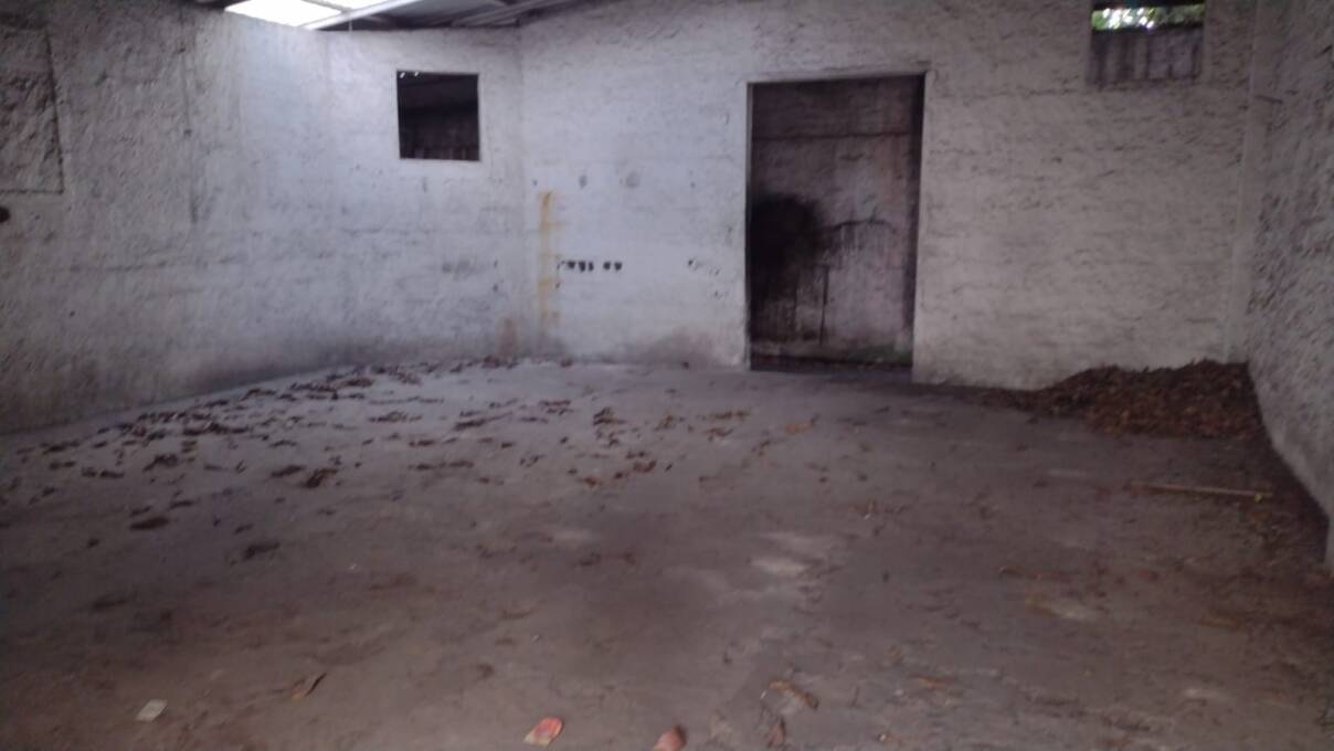 Casa, 60 m² - Foto 6