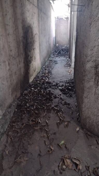 Casa, 60 m² - Foto 19