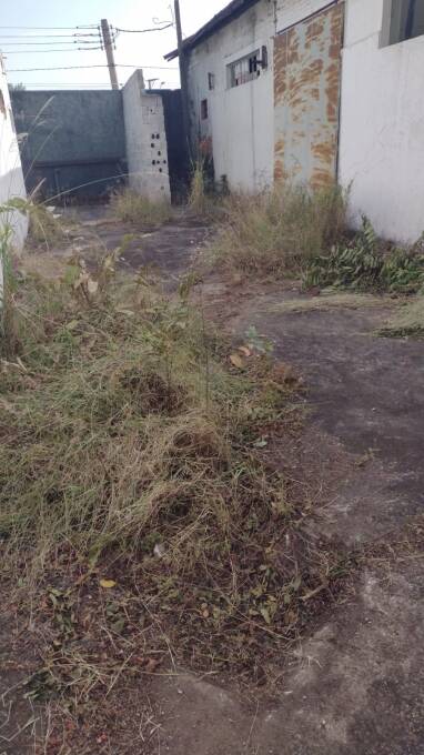 Depósito-Galpão - Foto 5