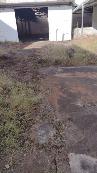 Depósito-Galpão - Foto 6