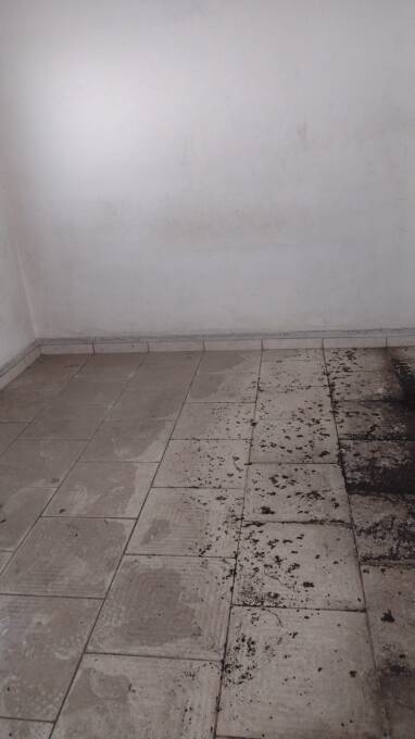 Depósito-Galpão - Foto 9