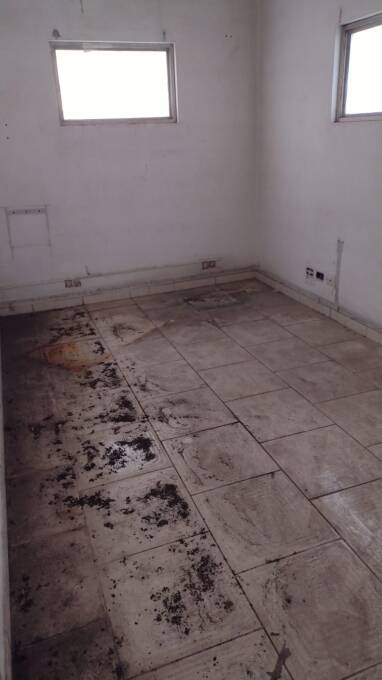 Depósito-Galpão - Foto 10