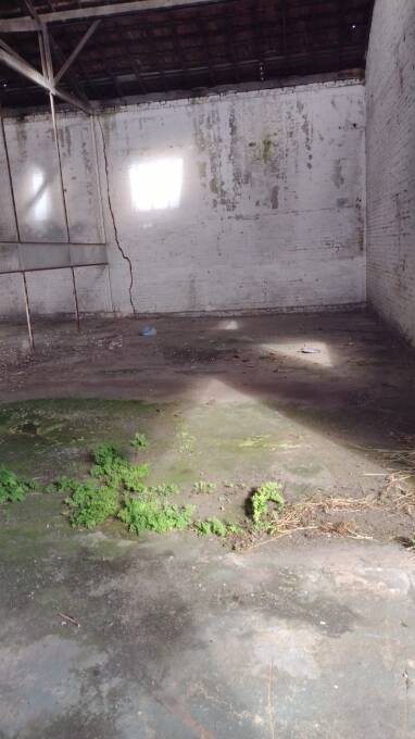 Depósito-Galpão - Foto 19