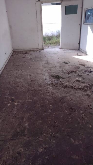 Depósito-Galpão - Foto 25