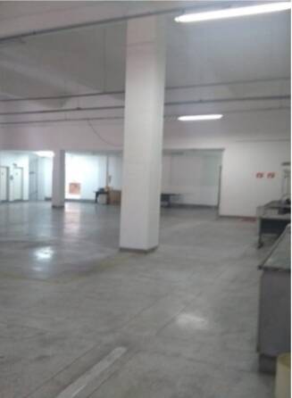 Depósito-Galpão, 1393 m² - Foto 4