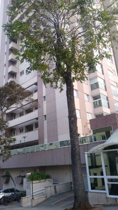 Apartamento, 3 quartos, 74 m² - Foto 27