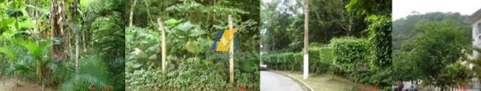 Terreno, 6500 m² - Foto 1