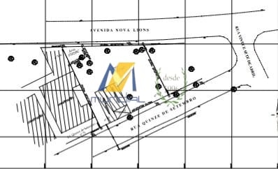 Terreno, 95 hectares - Foto 1
