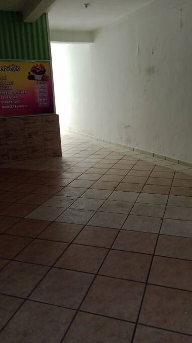 Casa, 3 quartos, 225 m² - Foto 19